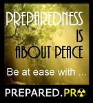 www.prepared.pro