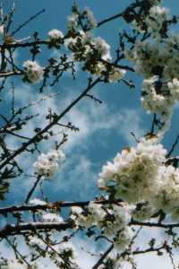 go to weblog and wessays